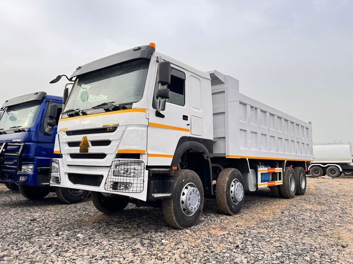 6X8 Dump Truck for Heavy Duty Cameroon